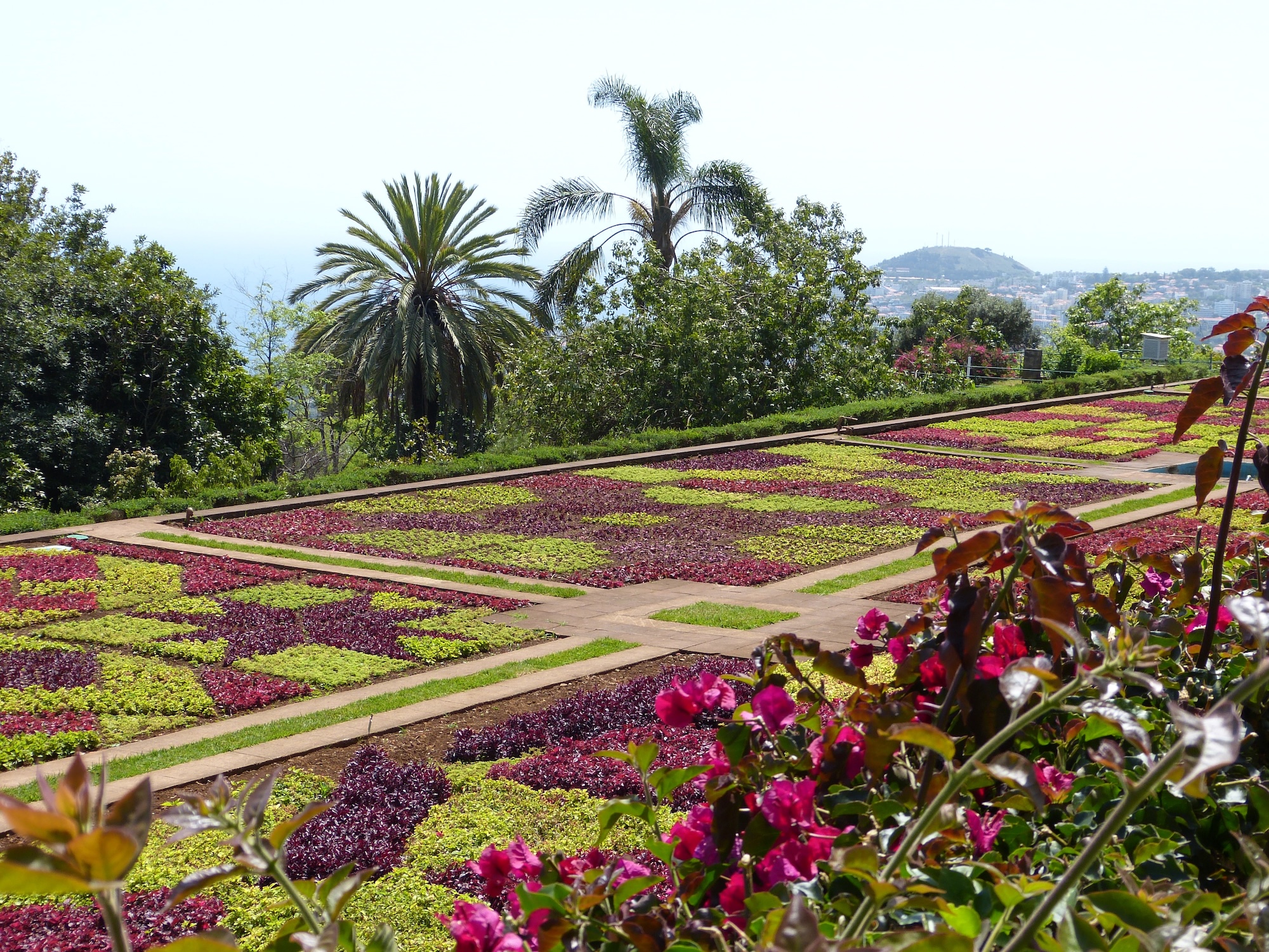 Die Blumeninsel im Frühling